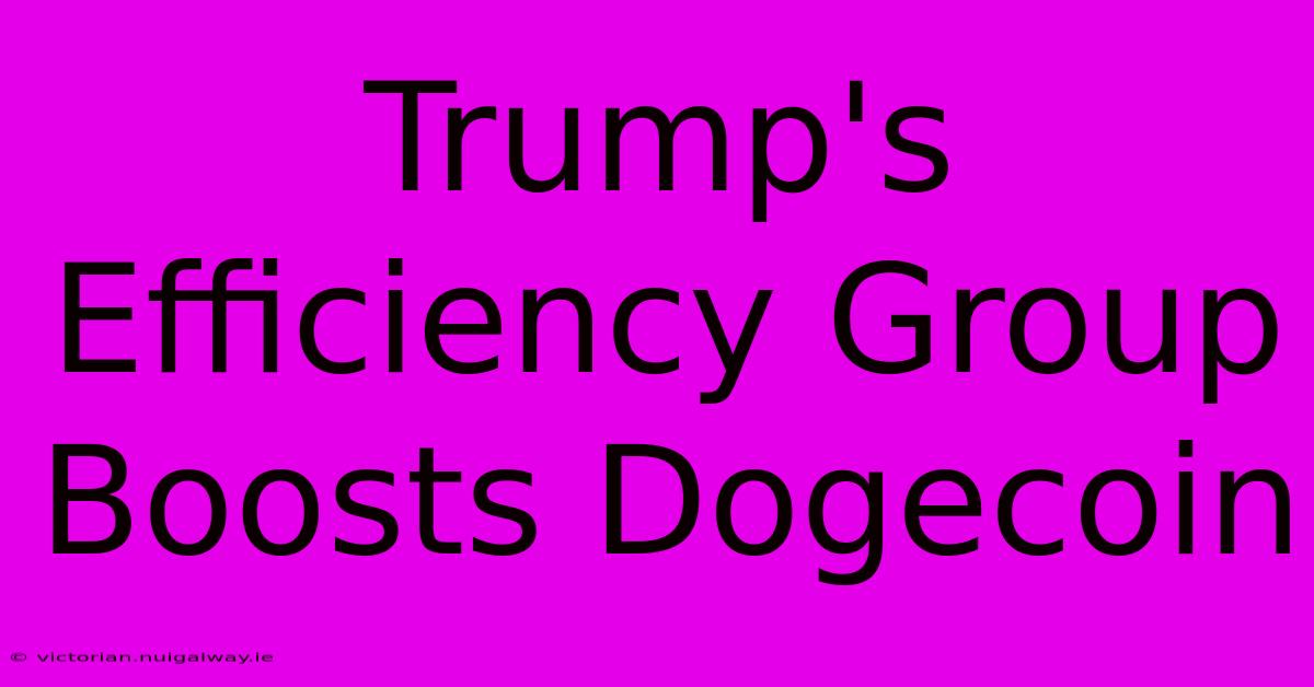 Trump's Efficiency Group Boosts Dogecoin