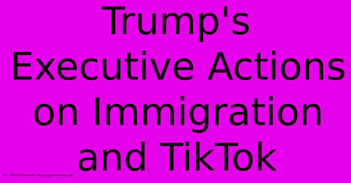 Trump's Executive Actions On Immigration And TikTok