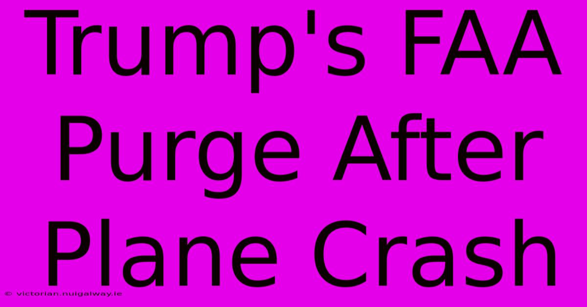 Trump's FAA Purge After Plane Crash