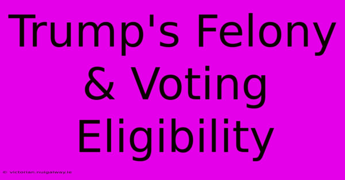 Trump's Felony & Voting Eligibility