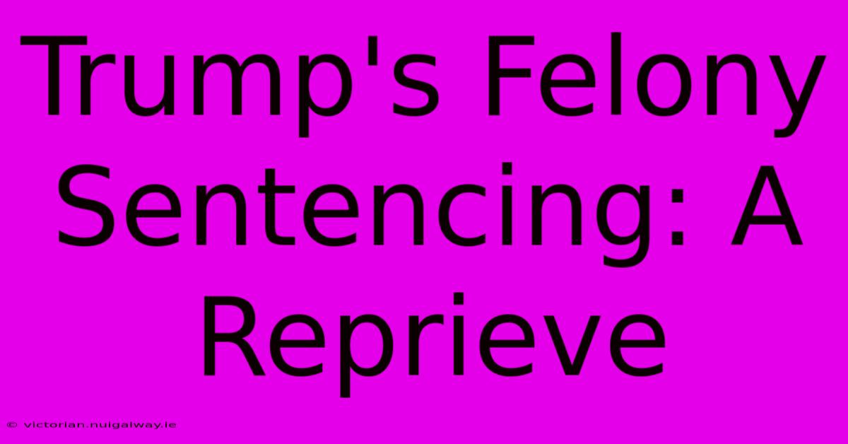 Trump's Felony Sentencing: A Reprieve