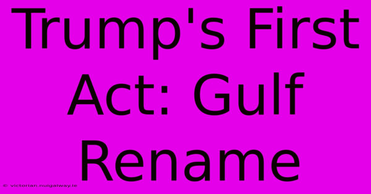 Trump's First Act: Gulf Rename