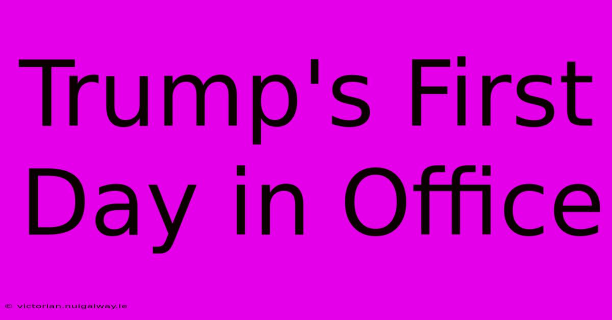 Trump's First Day In Office