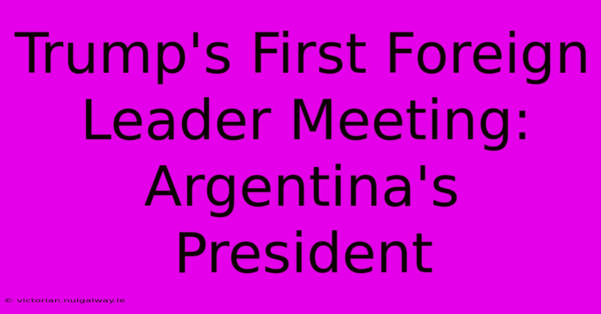 Trump's First Foreign Leader Meeting: Argentina's President