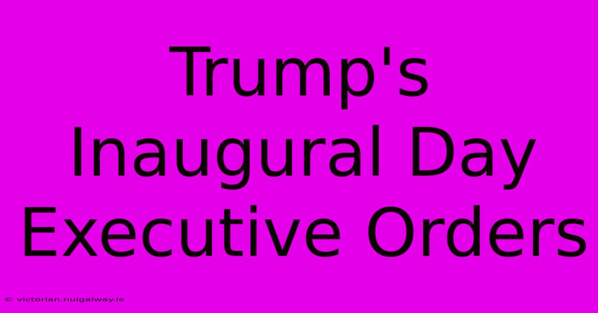 Trump's Inaugural Day Executive Orders