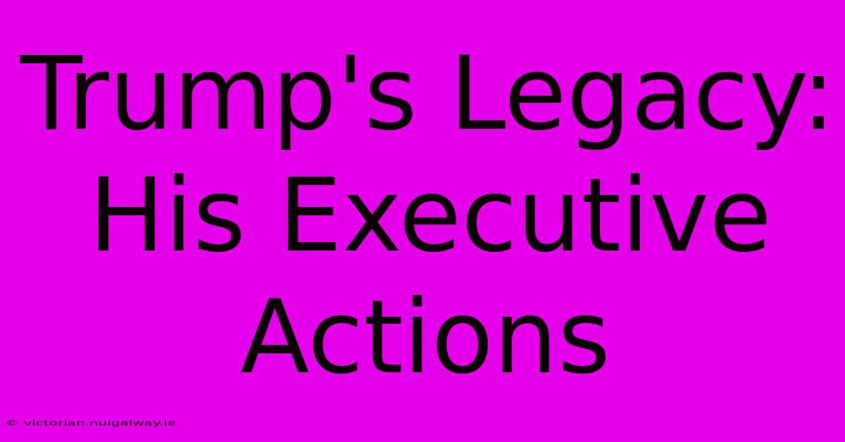 Trump's Legacy: His Executive Actions