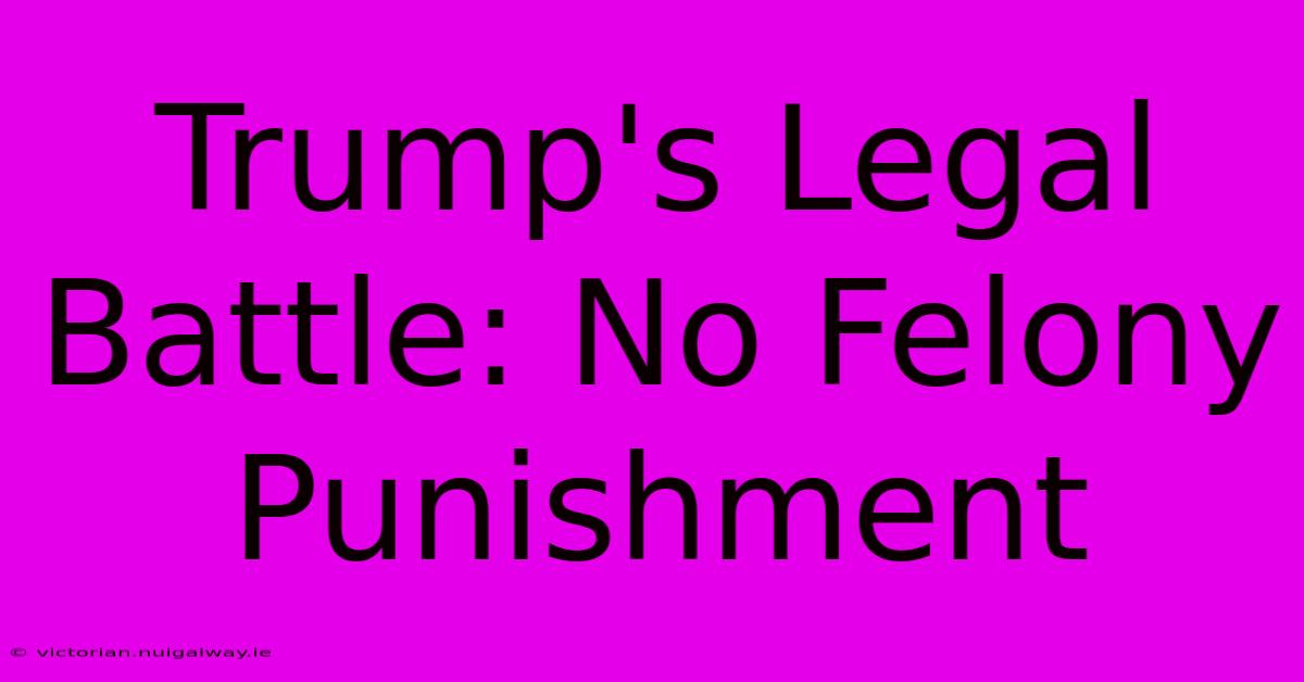 Trump's Legal Battle: No Felony Punishment