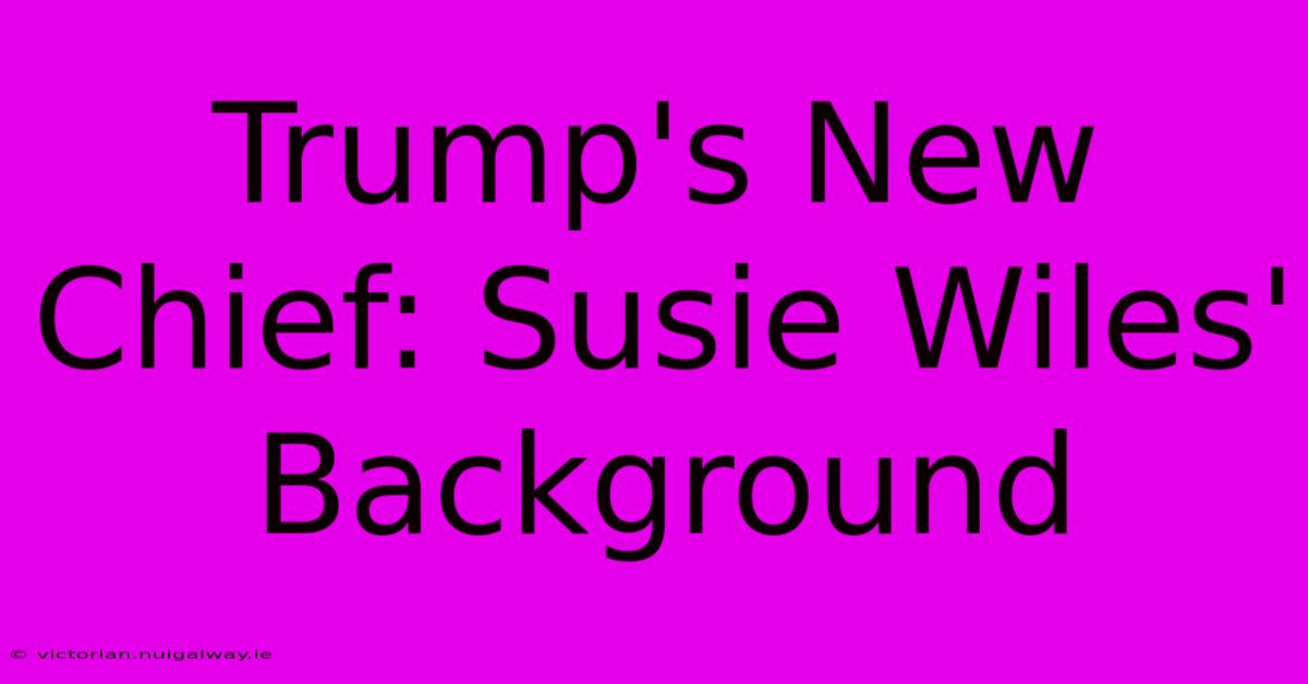 Trump's New Chief: Susie Wiles' Background 