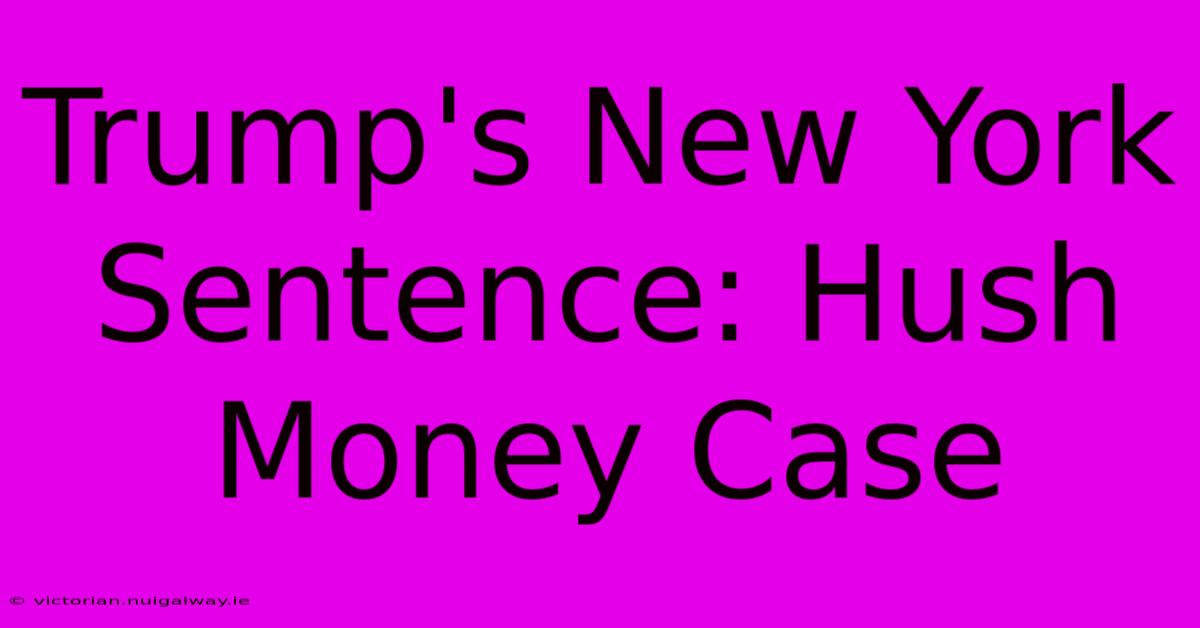 Trump's New York Sentence: Hush Money Case