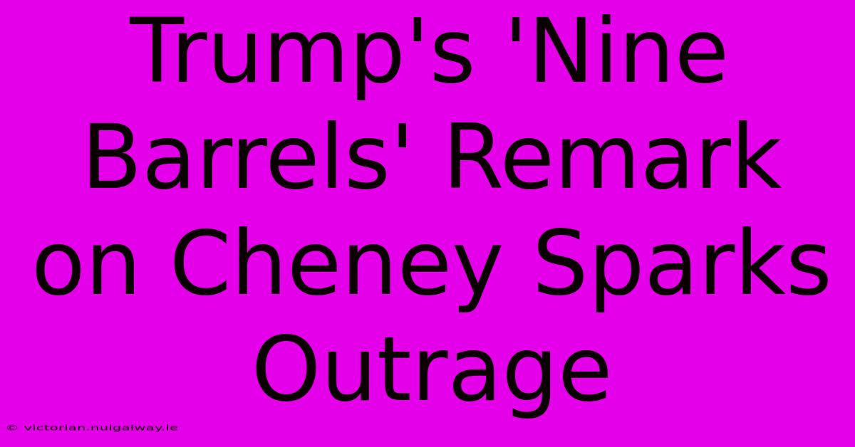 Trump's 'Nine Barrels' Remark On Cheney Sparks Outrage