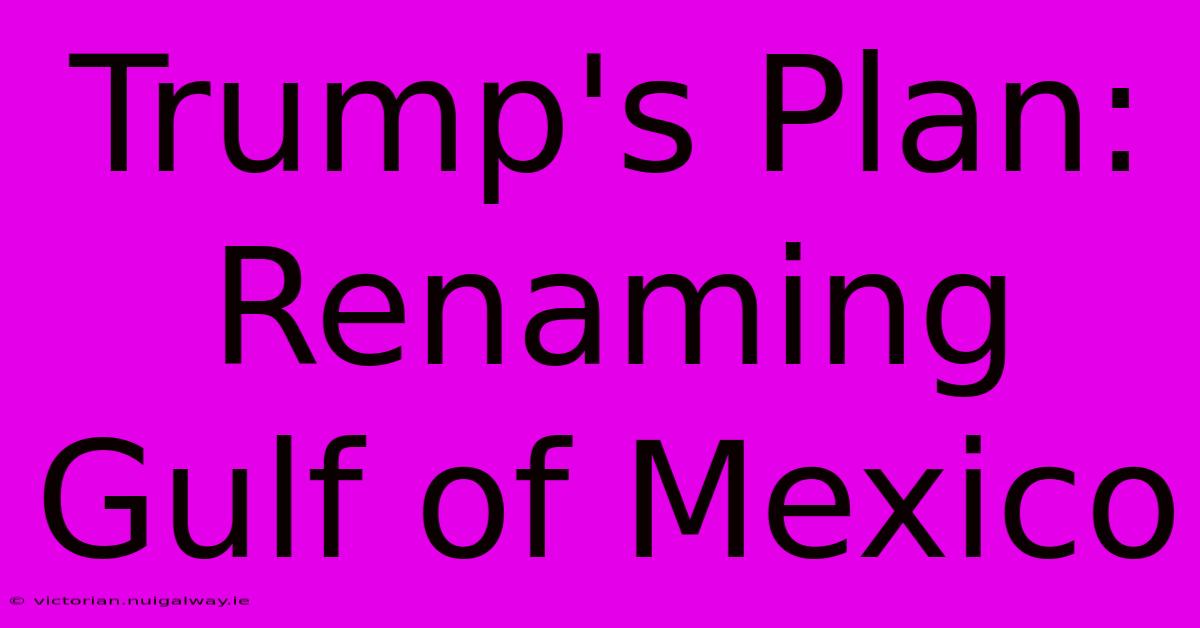 Trump's Plan: Renaming Gulf Of Mexico