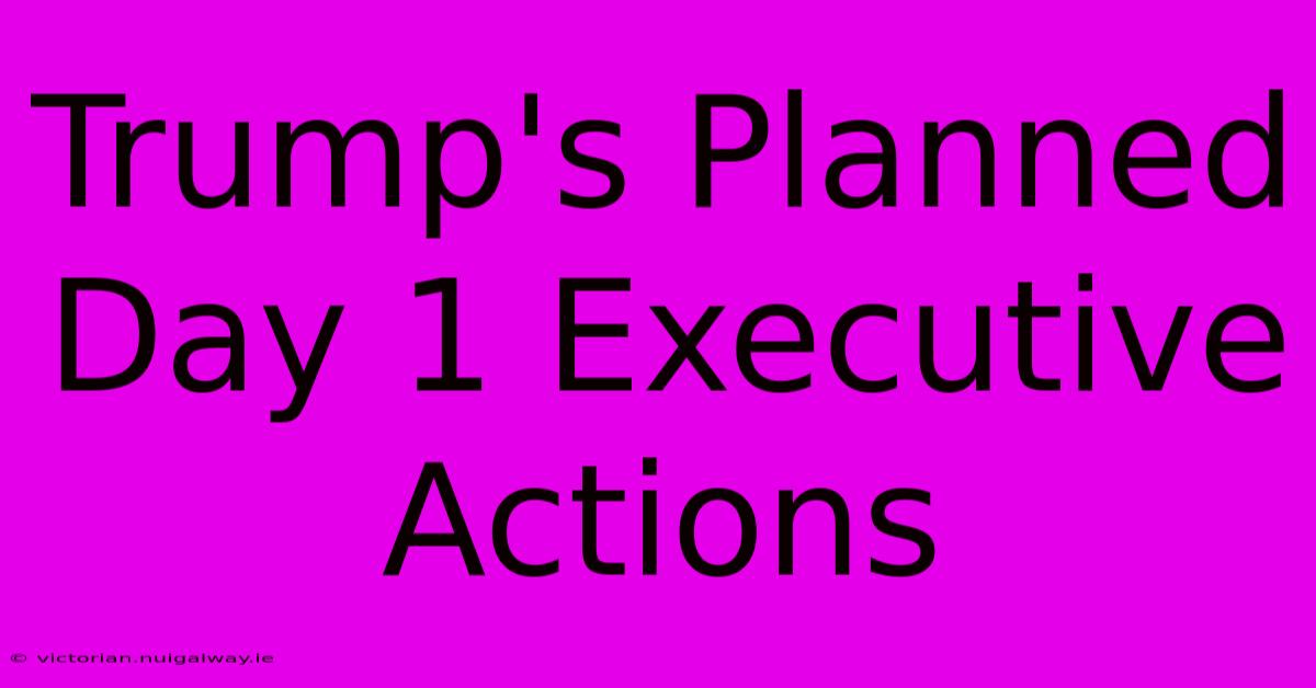 Trump's Planned Day 1 Executive Actions