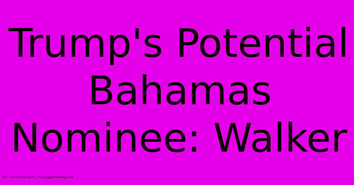 Trump's Potential Bahamas Nominee: Walker