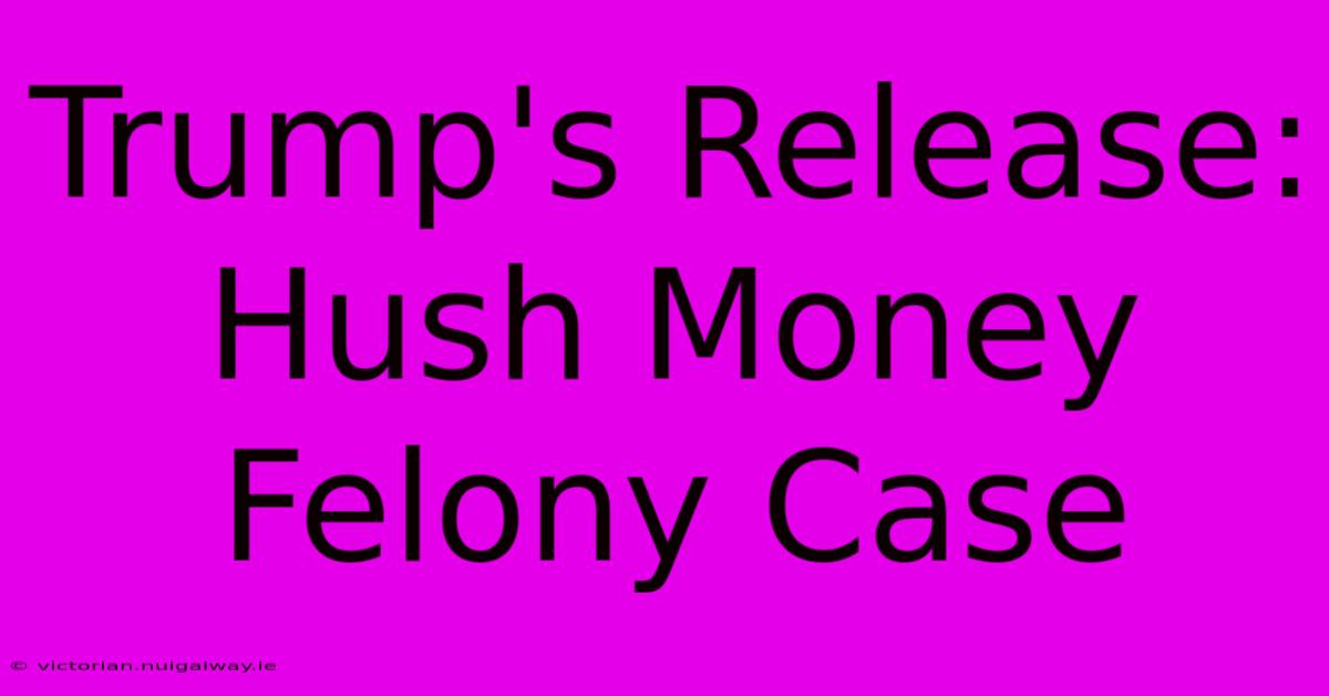 Trump's Release: Hush Money Felony Case