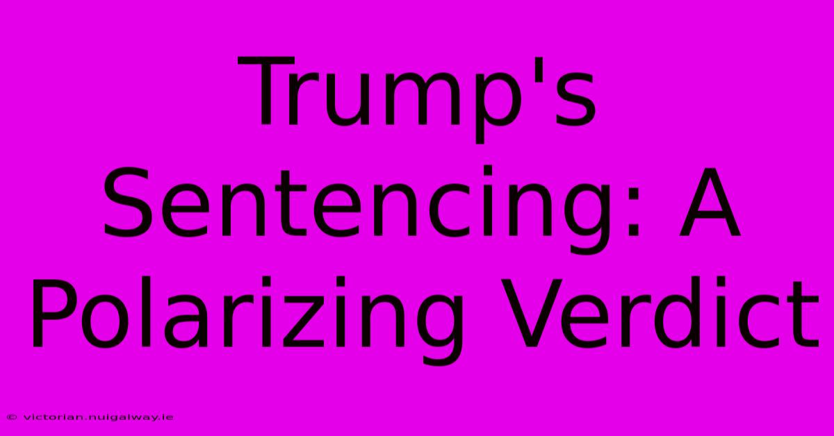 Trump's Sentencing: A Polarizing Verdict