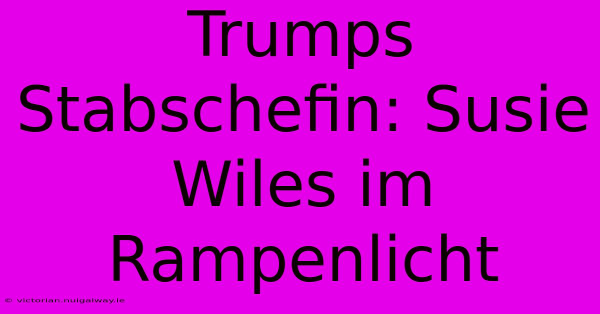 Trumps Stabschefin: Susie Wiles Im Rampenlicht