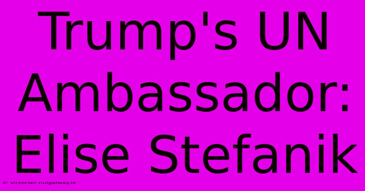 Trump's UN Ambassador: Elise Stefanik