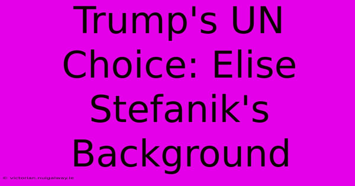 Trump's UN Choice: Elise Stefanik's Background