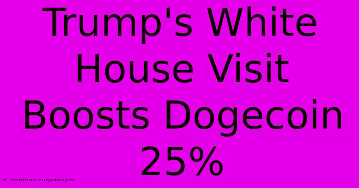 Trump's White House Visit Boosts Dogecoin 25%