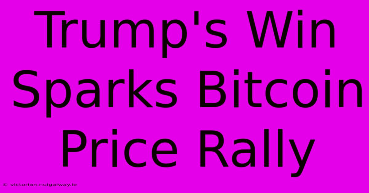 Trump's Win Sparks Bitcoin Price Rally 