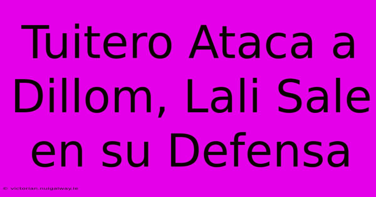 Tuitero Ataca A Dillom, Lali Sale En Su Defensa