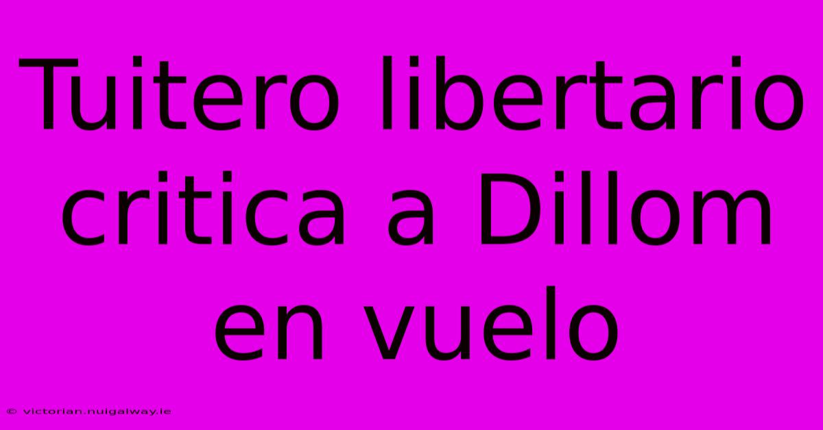 Tuitero Libertario Critica A Dillom En Vuelo