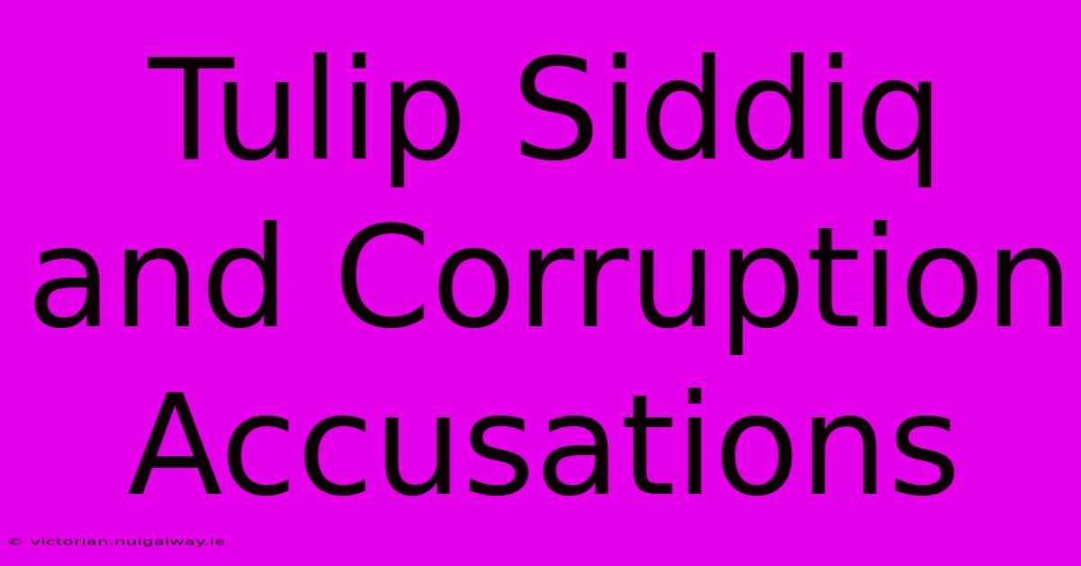 Tulip Siddiq And Corruption Accusations