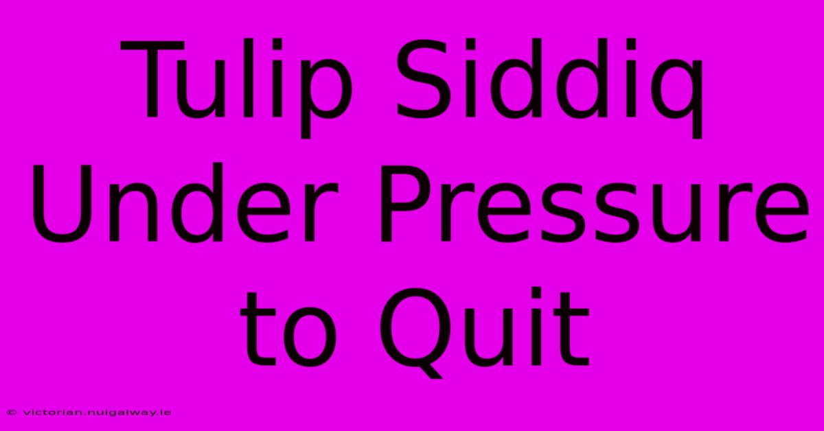 Tulip Siddiq Under Pressure To Quit