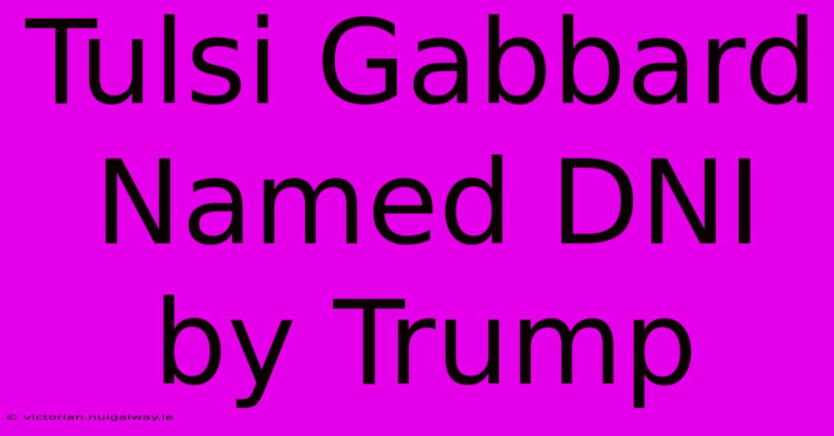 Tulsi Gabbard Named DNI By Trump