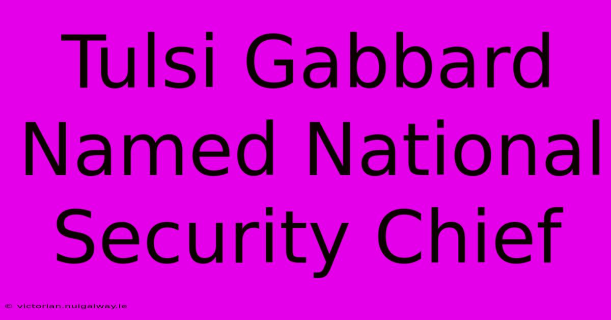 Tulsi Gabbard Named National Security Chief