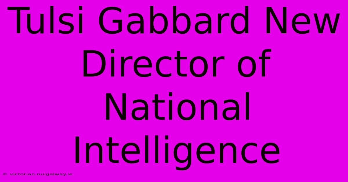 Tulsi Gabbard New Director Of National Intelligence