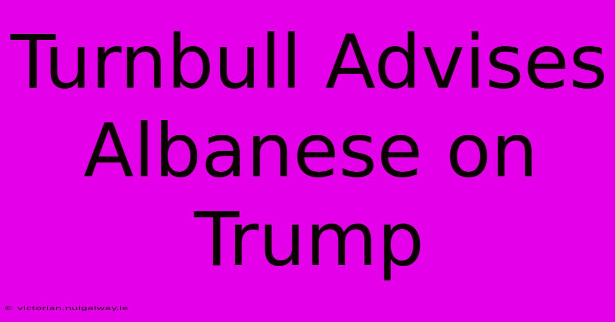 Turnbull Advises Albanese On Trump