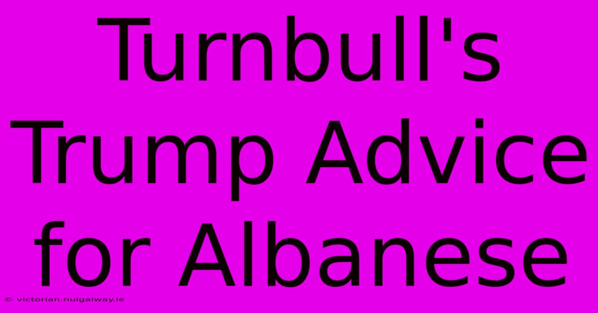 Turnbull's Trump Advice For Albanese