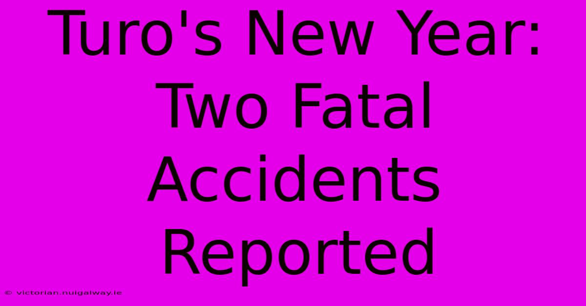 Turo's New Year: Two Fatal Accidents Reported