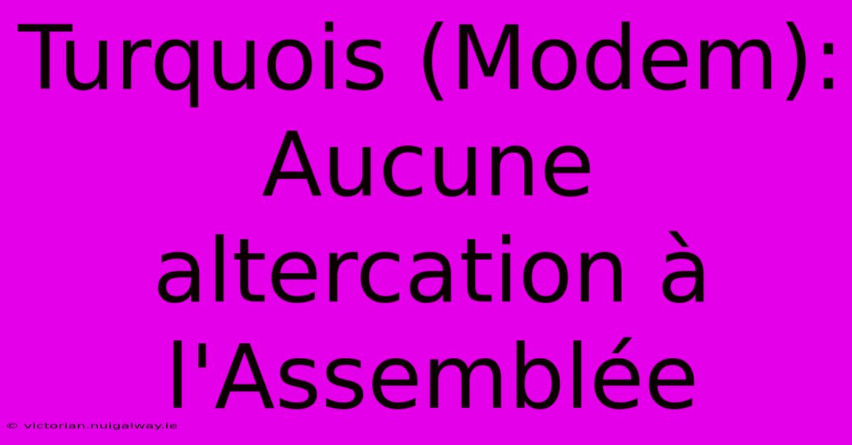 Turquois (Modem):  Aucune Altercation À L'Assemblée