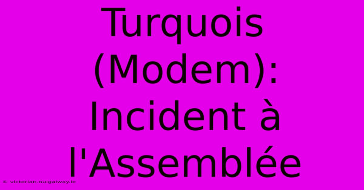 Turquois (Modem): Incident À L'Assemblée