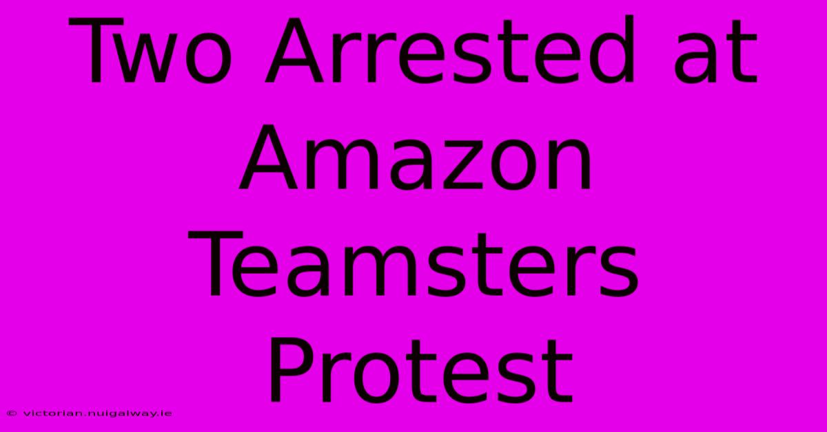 Two Arrested At Amazon Teamsters Protest