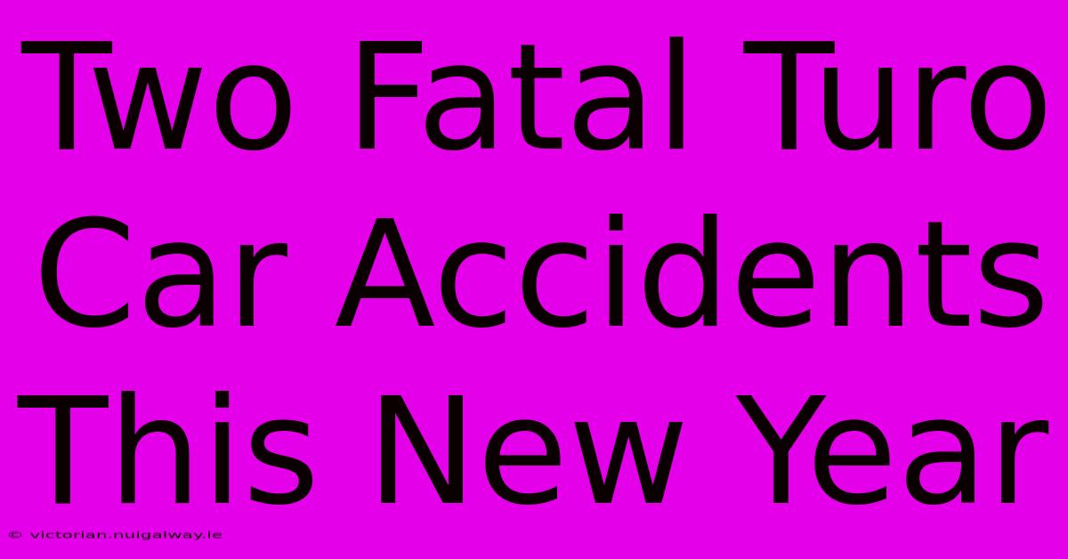 Two Fatal Turo Car Accidents This New Year