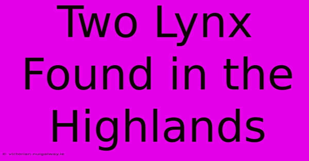 Two Lynx Found In The Highlands