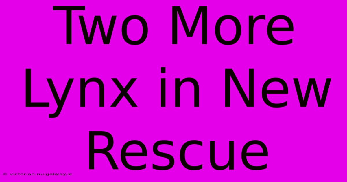 Two More Lynx In New Rescue