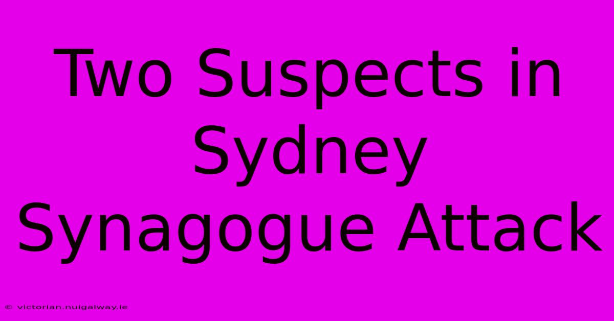 Two Suspects In Sydney Synagogue Attack