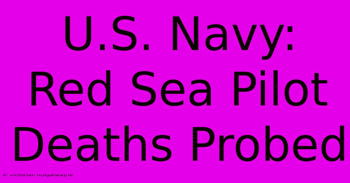 U.S. Navy: Red Sea Pilot Deaths Probed