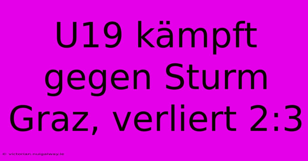 U19 Kämpft Gegen Sturm Graz, Verliert 2:3 