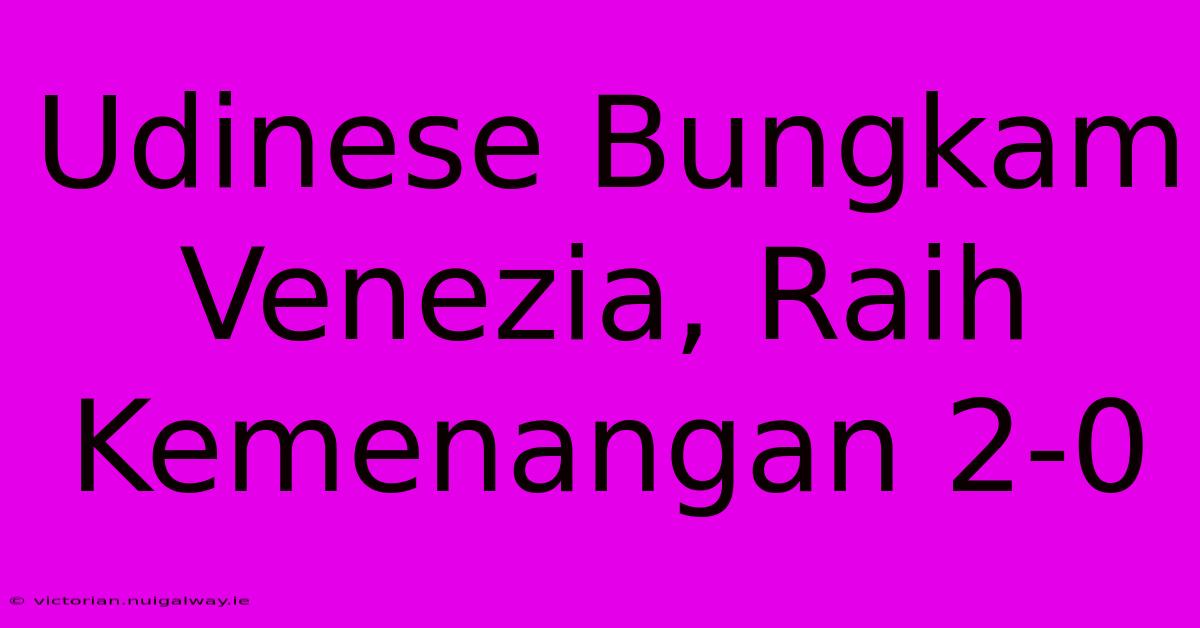 Udinese Bungkam Venezia, Raih Kemenangan 2-0