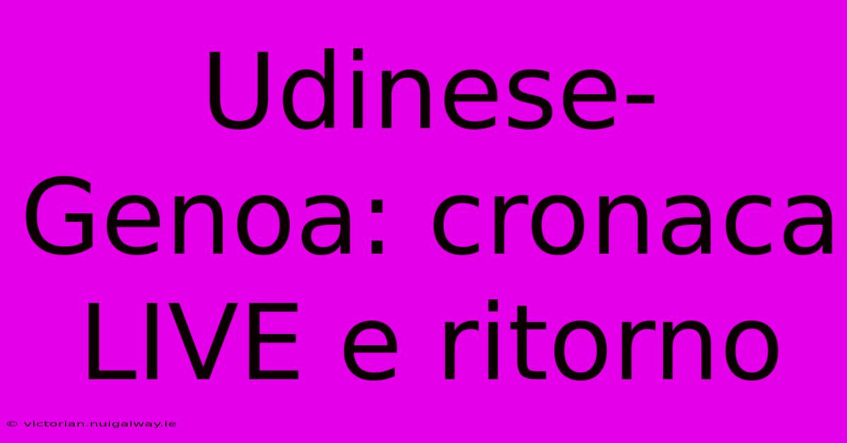 Udinese-Genoa: Cronaca LIVE E Ritorno