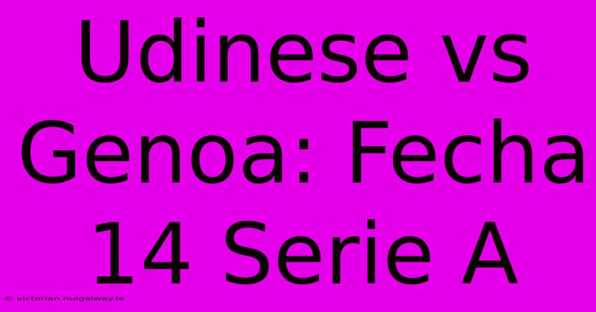 Udinese Vs Genoa: Fecha 14 Serie A