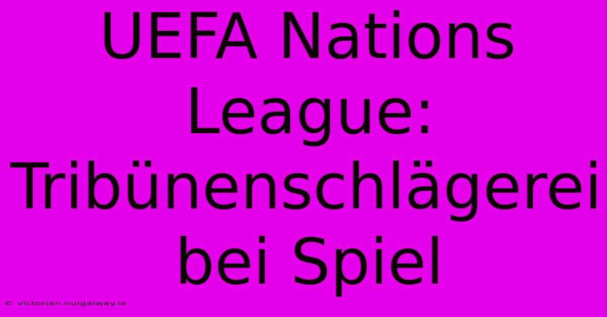 UEFA Nations League: Tribünenschlägerei Bei Spiel