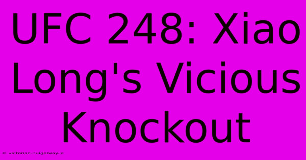 UFC 248: Xiao Long's Vicious Knockout