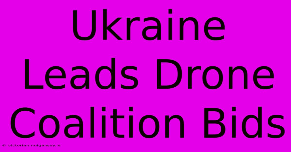 Ukraine Leads Drone Coalition Bids