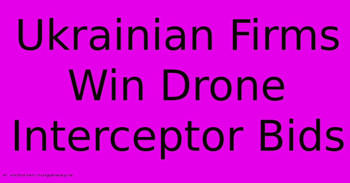 Ukrainian Firms Win Drone Interceptor Bids